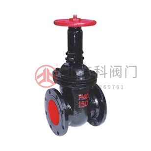 Z44T、Z44W、Z44H 型 PN10、PN16 鐵制平行式雙閘板閘閥