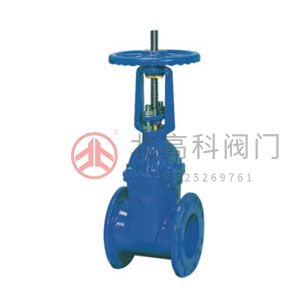 Z45X-10、Z45X-16 彈性座封閘閥